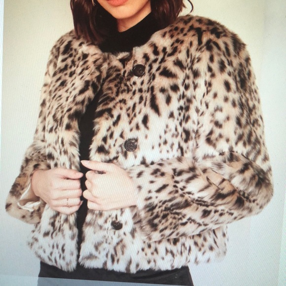 j crew leopard coat